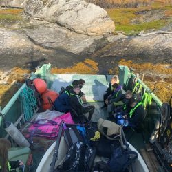 Flinke skoleelever går i land på Årøya og som gjorde en kjempeinnsats i ryddearbeidet.