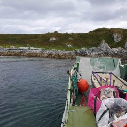 Ryddetokt på Karlsøya