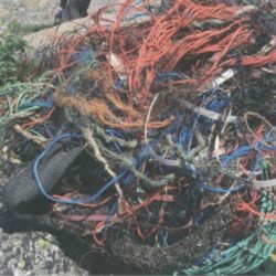 Vi finner mye garn- og taurester av plast på våre ryddetokter.