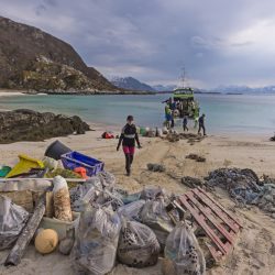 Strandrydding på Storvollen på Rebbenesøya.